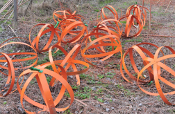 barrel hoop pumpkins